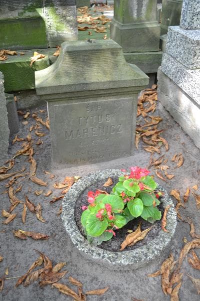 Zdjęcie grobu Tytus Marewicz (1)