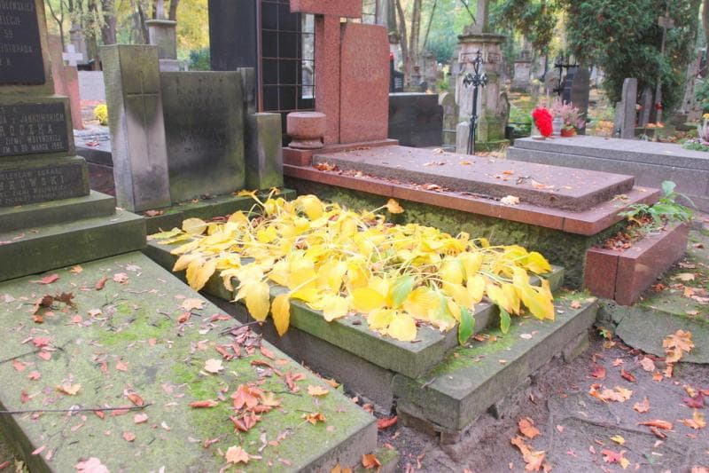 Zdjęcie grobu Karol Wójcik (1)