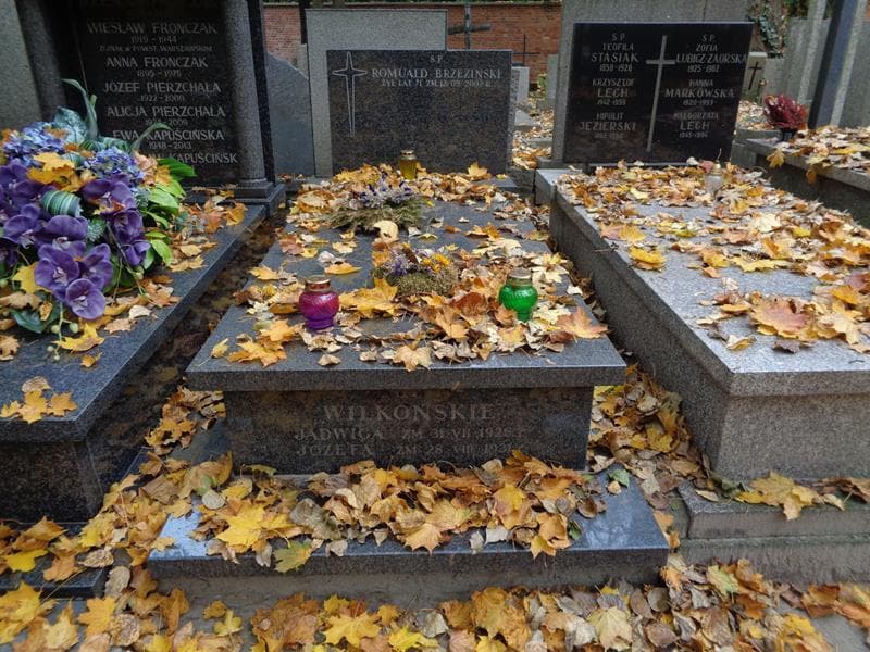 Zdjęcie grobu Romuald Brzeziński (1)