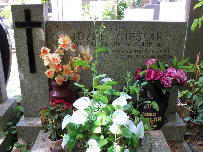 Zdjęcie grobu Józef Cieślak (2)