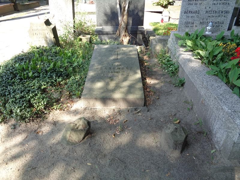 Zdjęcie grobu Zofja Krąkowska (1)