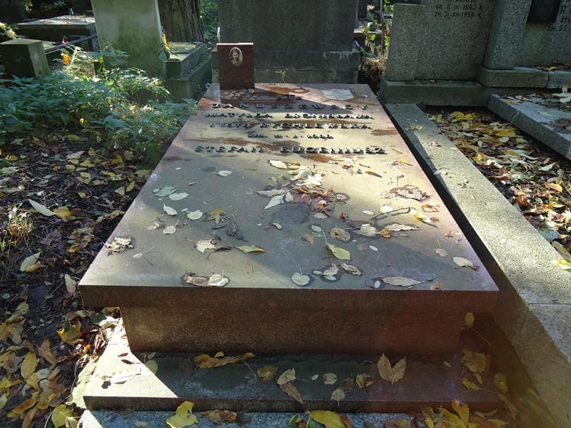 Zdjęcie grobu: Stefan Eugeniusz Januszewski