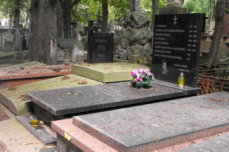 Zdjęcie grobu Elżbieta Baczyńska-Karczewska (1)
