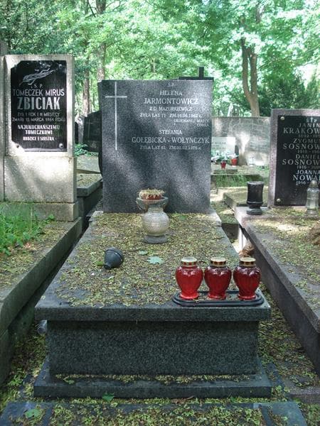 Zdjęcie grobu: Stfania Gołębicka - Wołyńczyk
