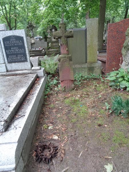 Zdjęcie grobu Agata Apfelbaum (1)
