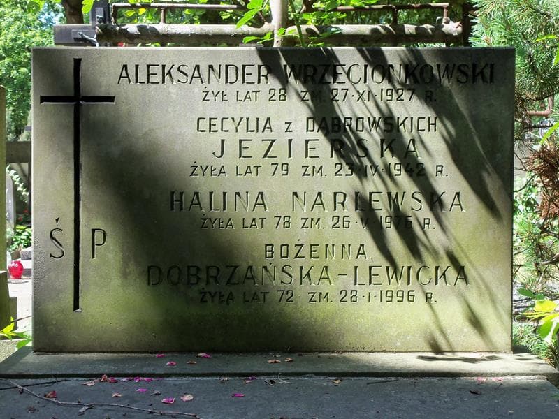 Zdjęcie grobu Aleksander Wrzecionkowski (2)