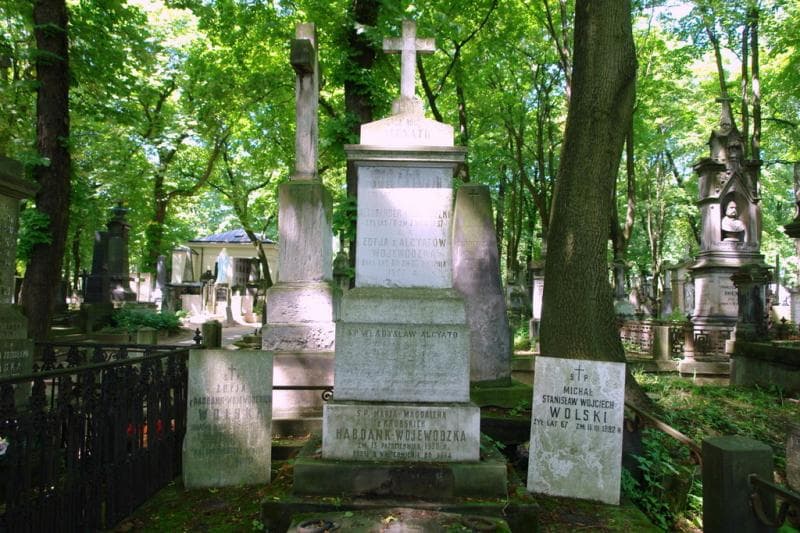 Zdjęcie grobu Aleksander Habdank Wojewódzki (2)