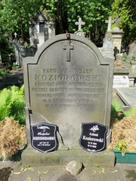 Zdjęcie grobu Władysław Koziorowski (2)