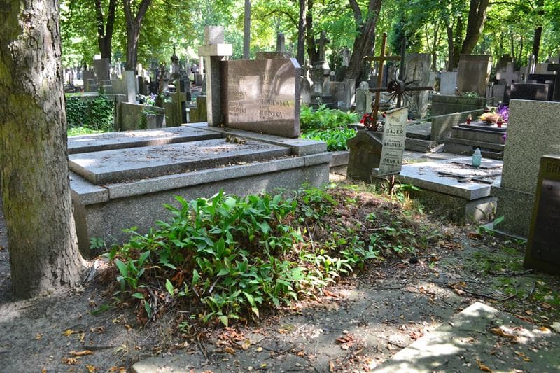 Zdjęcie grobu: Julianna Walczyńska