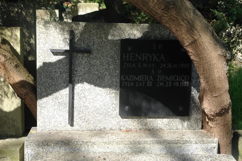 Zdjęcie grobu Henryka ... (2)