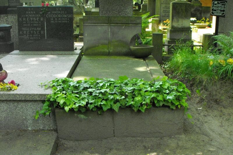 Zdjęcie grobu Edyta Maria Von Stempel (1)