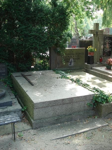 Zdjęcie grobu Helena Dobrowolska (1)