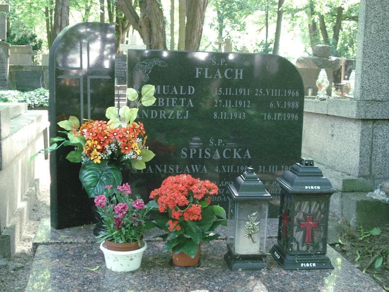 Zdjęcie grobu Romuald Flach (1)
