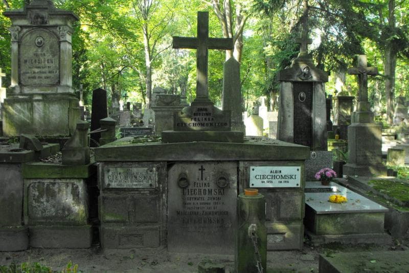 Zdjęcie grobu: Marcjanna Ciechomska