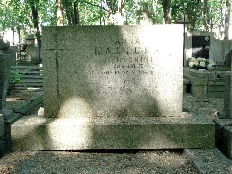 Zdjęcie grobu Stanisław Napiórkowski (1)