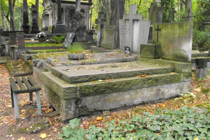 Zdjęcie grobu Władysław Beszczyński (1)