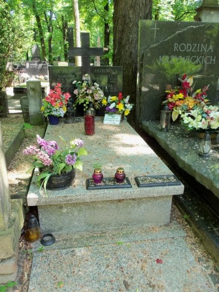 Zdjęcie grobu: Romualda Mieszkowska