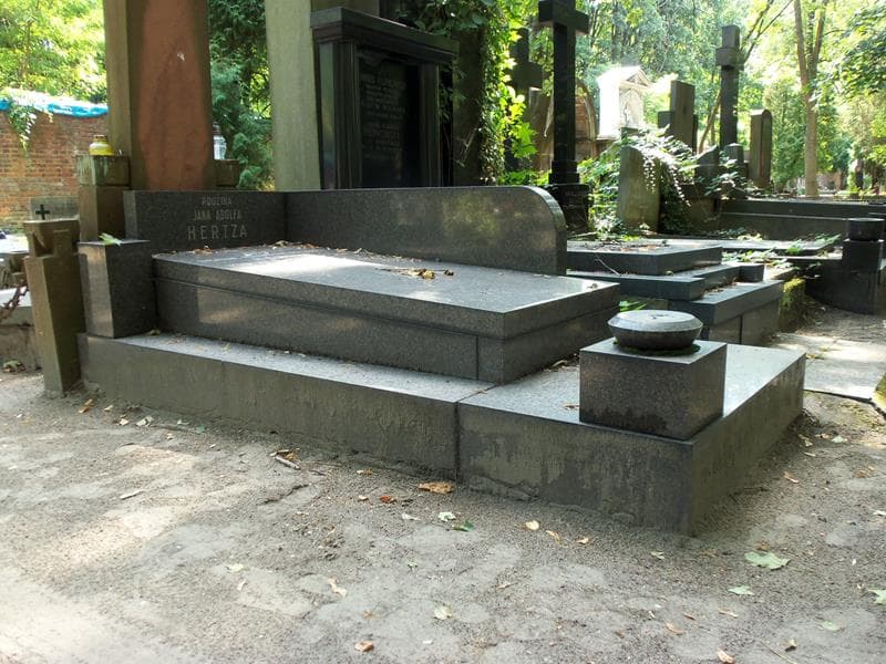 Zdjęcie grobu Zygmunt Kazimierz Hertz (1)