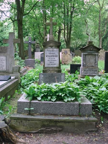 Zdjęcie grobu Tadeusz Wyleżyński (1)
