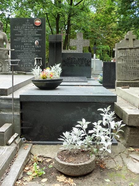 Zdjęcie grobu: Marian Michałowski