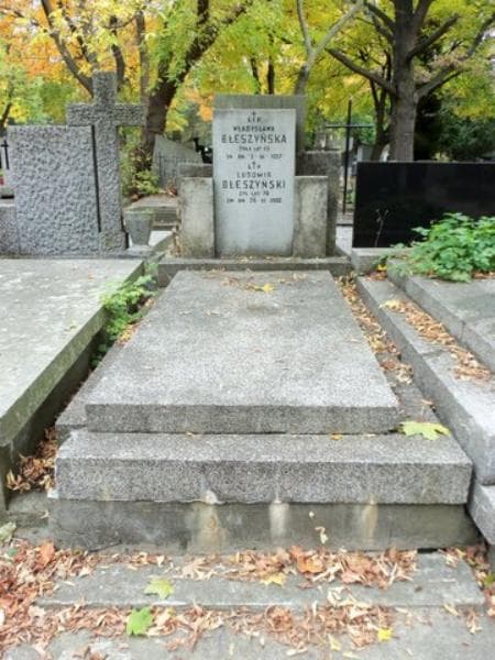 Zdjęcie grobu: Ludomir Błeszyński