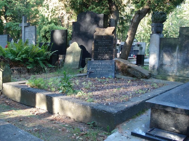 Zdjęcie grobu Stanisław Żmijewski (1)