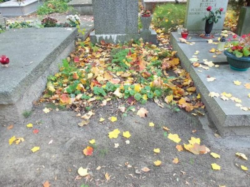 Zdjęcie grobu: Pole Grobowe