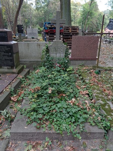 Zdjęcie grobu Klemens Eustachy Zdunek (1)
