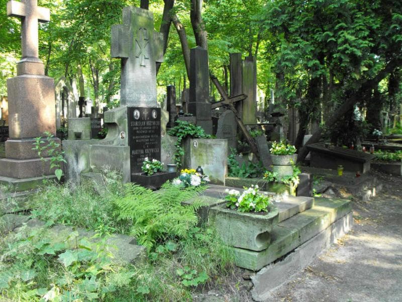 Zdjęcie grobu Stanisław Krzywicki (1)