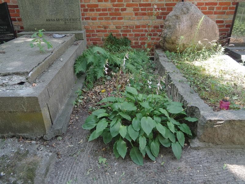 Zdjęcie grobu: Pole Grobowe