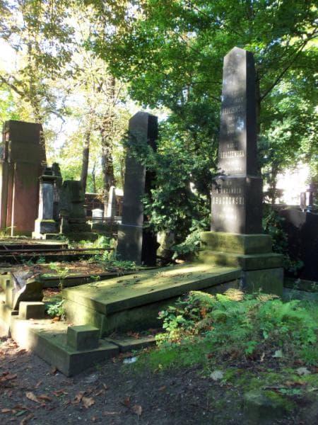 Zdjęcie grobu Aleksander Oraczewski (1)