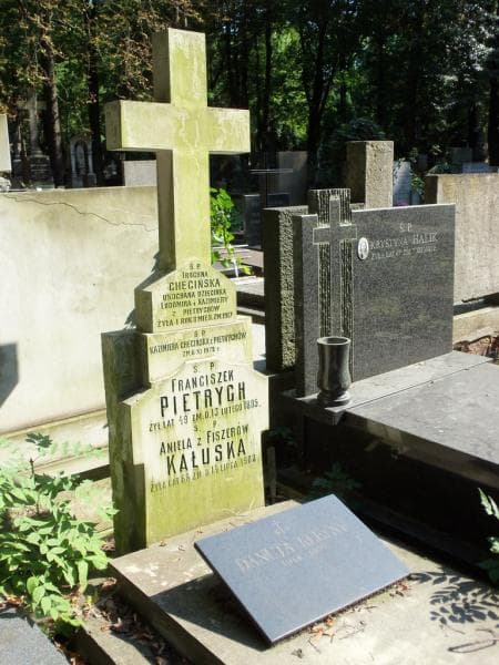 Zdjęcie grobu Danuta Kleyny (2)
