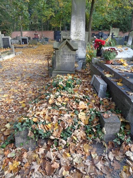Zdjęcie grobu Bolesław Fronczek (1)