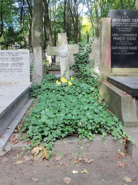 Zdjęcie grobu: Janina Wadzyńska