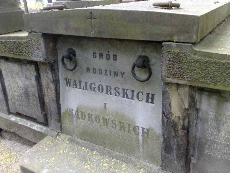 Zdjęcie grobu Władysław Waligórski (1)