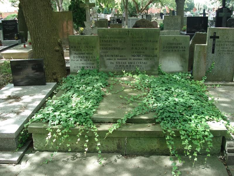 Zdjęcie grobu: Jerzy Dobkowski