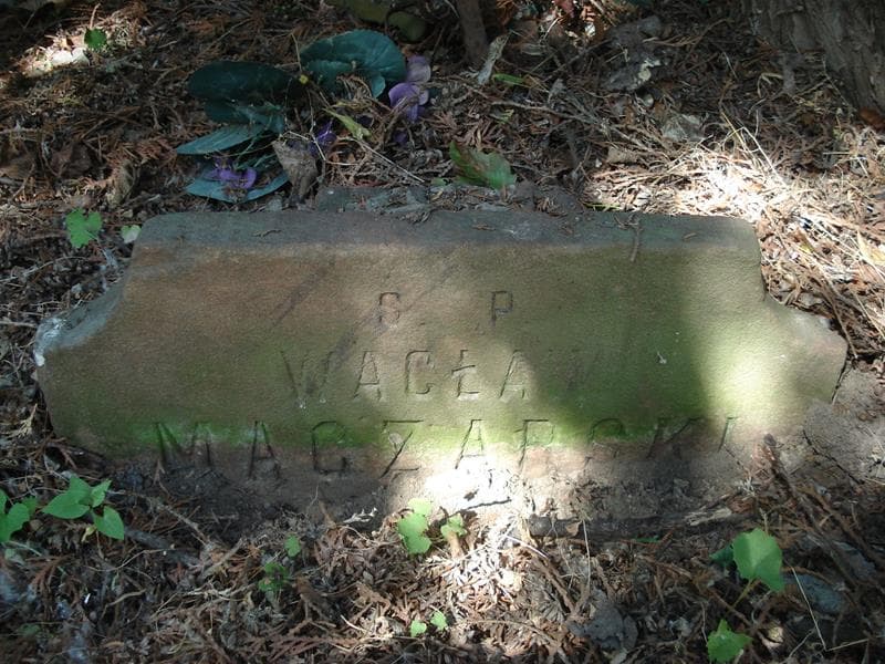Zdjęcie grobu Wacław Mączarski (1)