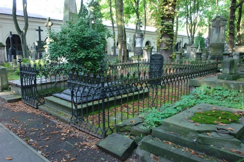 Zdjęcie grobu Józef De Kohler (1)
