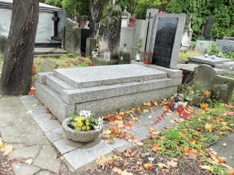 Zdjęcie grobu Leon Wolnicki (1)