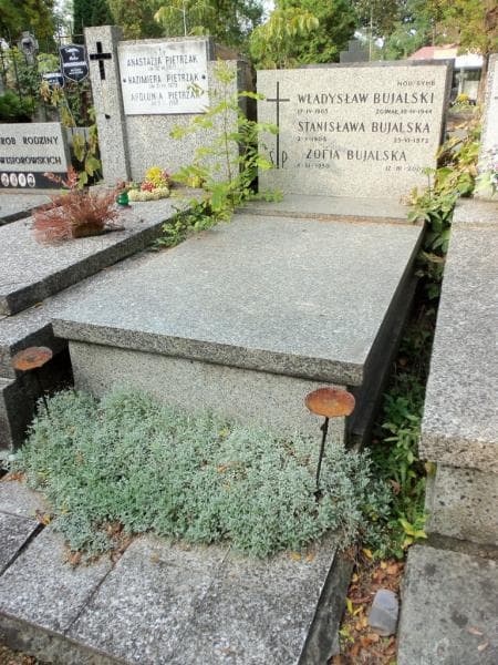 Zdjęcie grobu Władysław Bujalski (1)