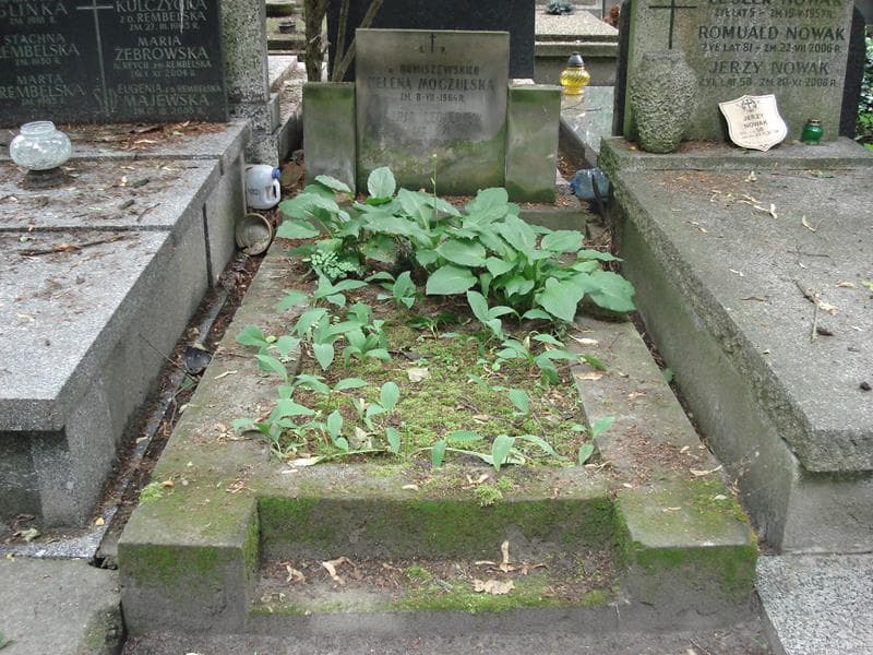 Zdjęcie grobu: Maria Lebiediew