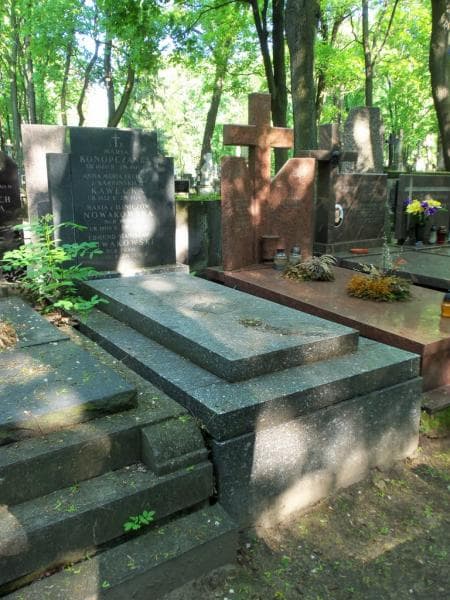 Zdjęcie grobu Edmund Stanisław Nowakowski (1)