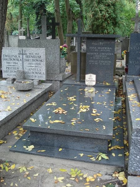 Zdjęcie grobu Anna Majewska (1)