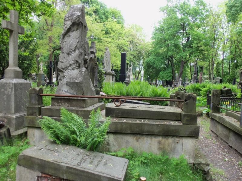 Zdjęcie grobu Władysław Walewski (1)