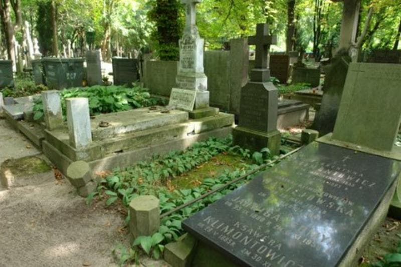Zdjęcie grobu Jarosław Habdank-Kozubski (1)