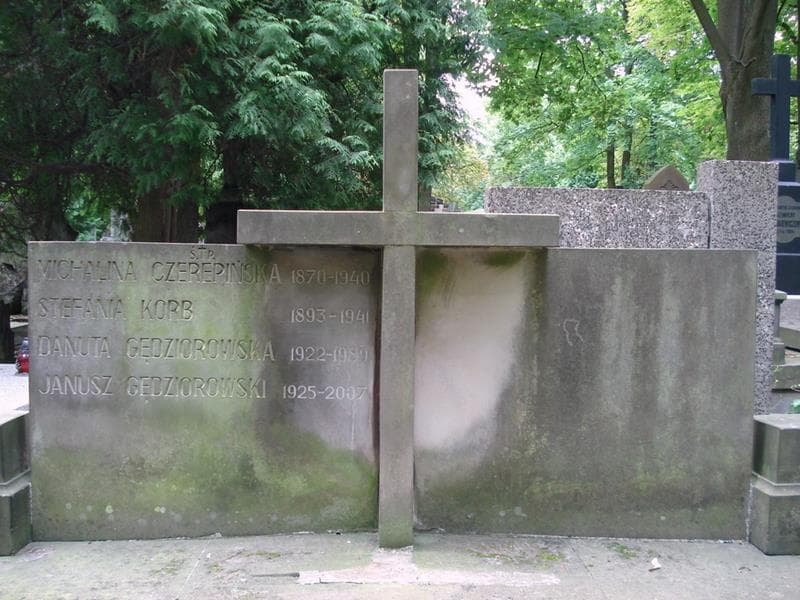 Zdjęcie grobu Tadeusz Lucjan Czerepiński (2)