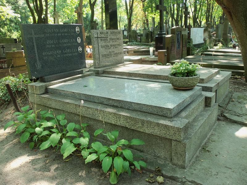 Zdjęcie grobu: Zofia Górecka