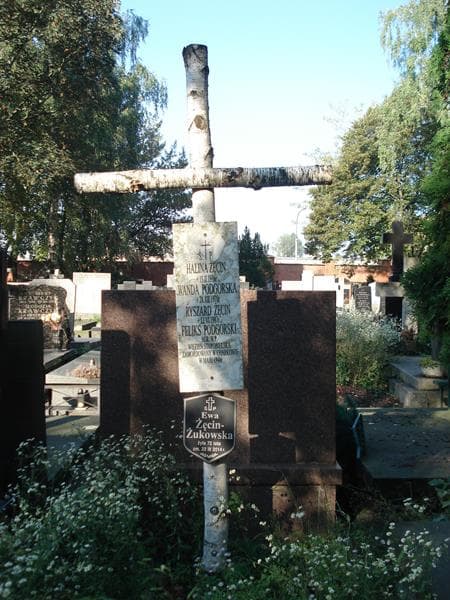 Zdjęcie grobu Ryszard Żęcin (2)
