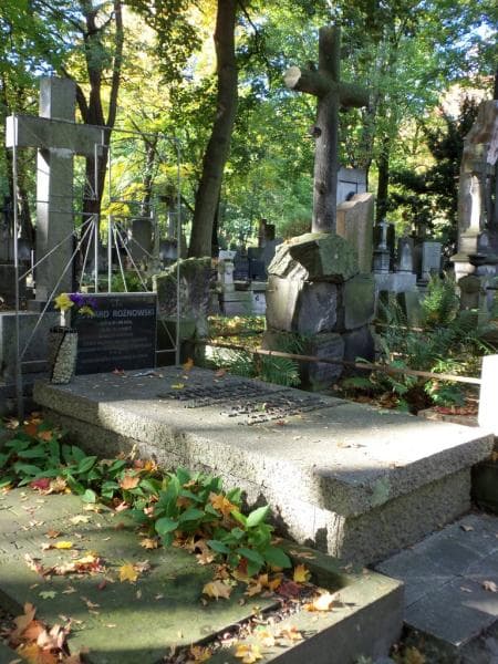 Zdjęcie grobu Edward Rożnowski (1)