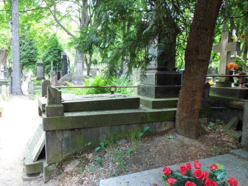 Zdjęcie grobu Józef Gutman (1)